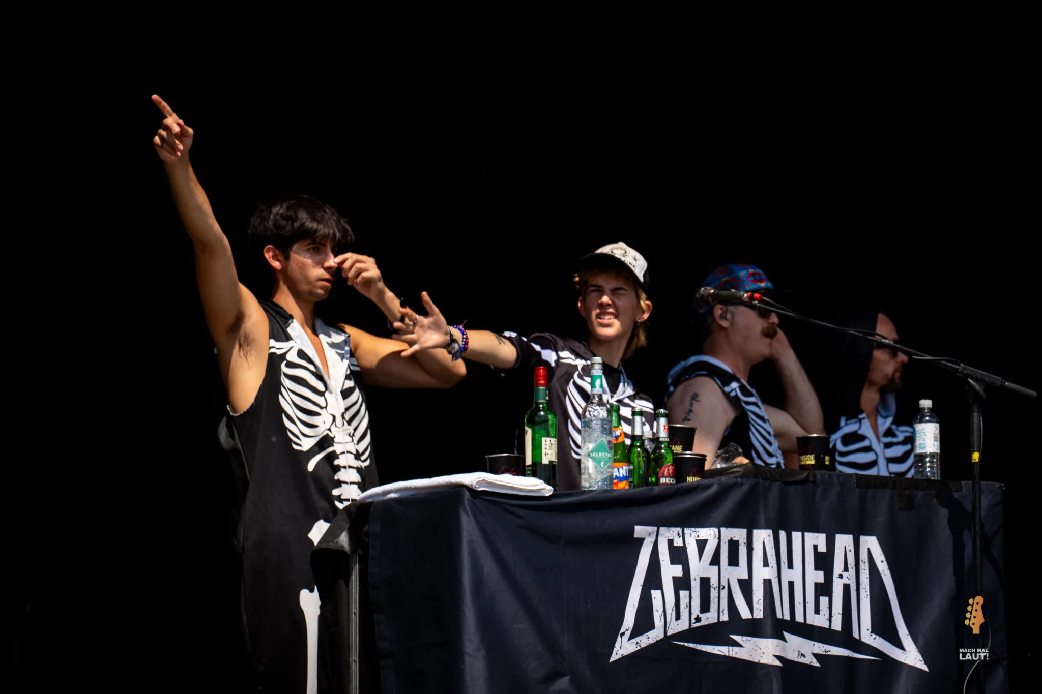 Zebrahead Hurricane Festival 2026 12