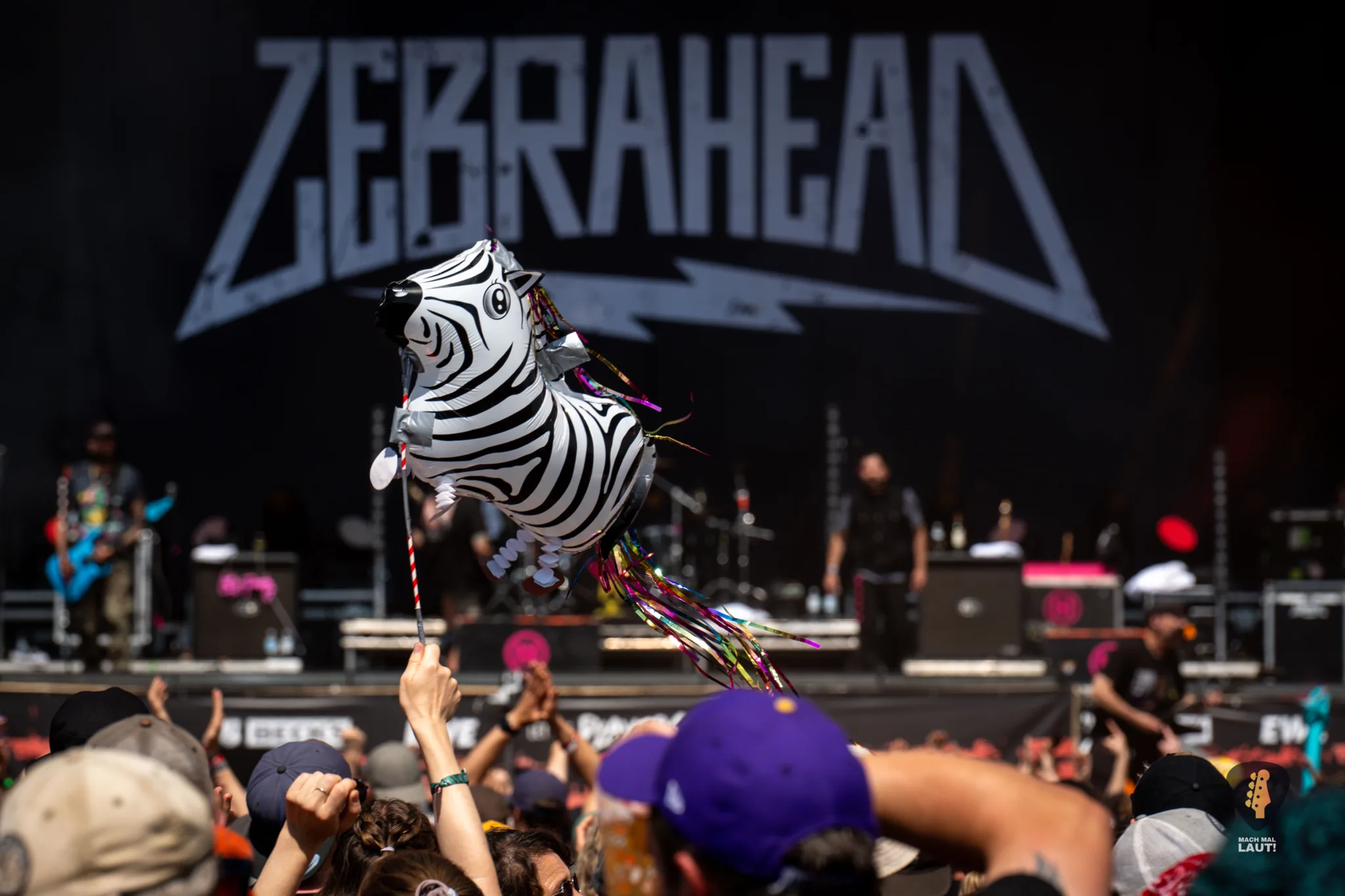 Zebrahead Hurricane Festival 2026 20