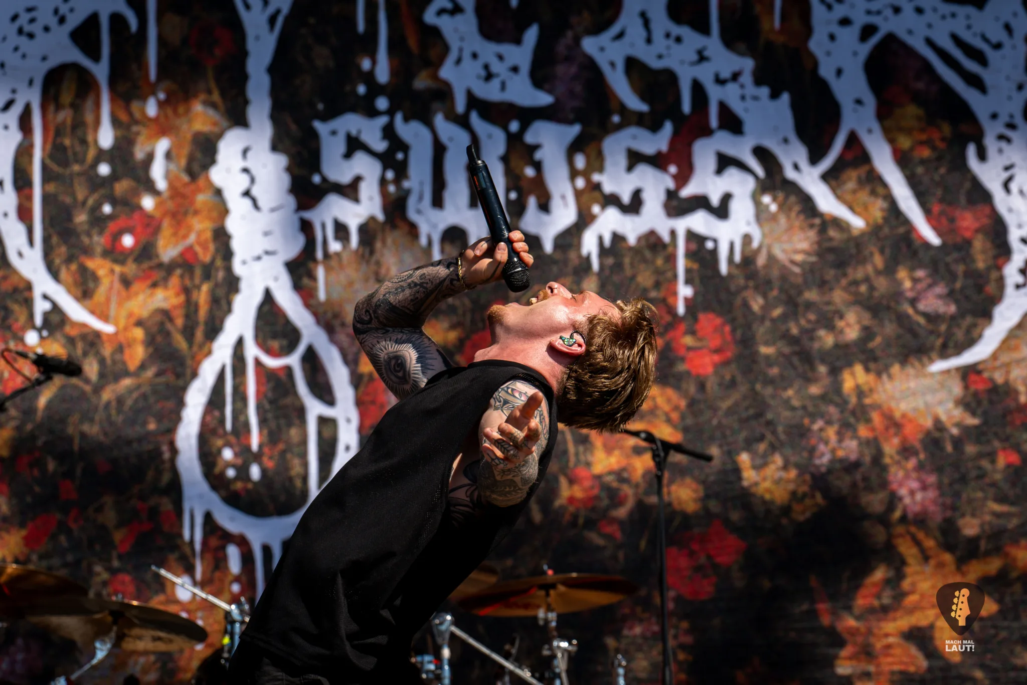 Paleface Swiss Reload Festival 2026 14
