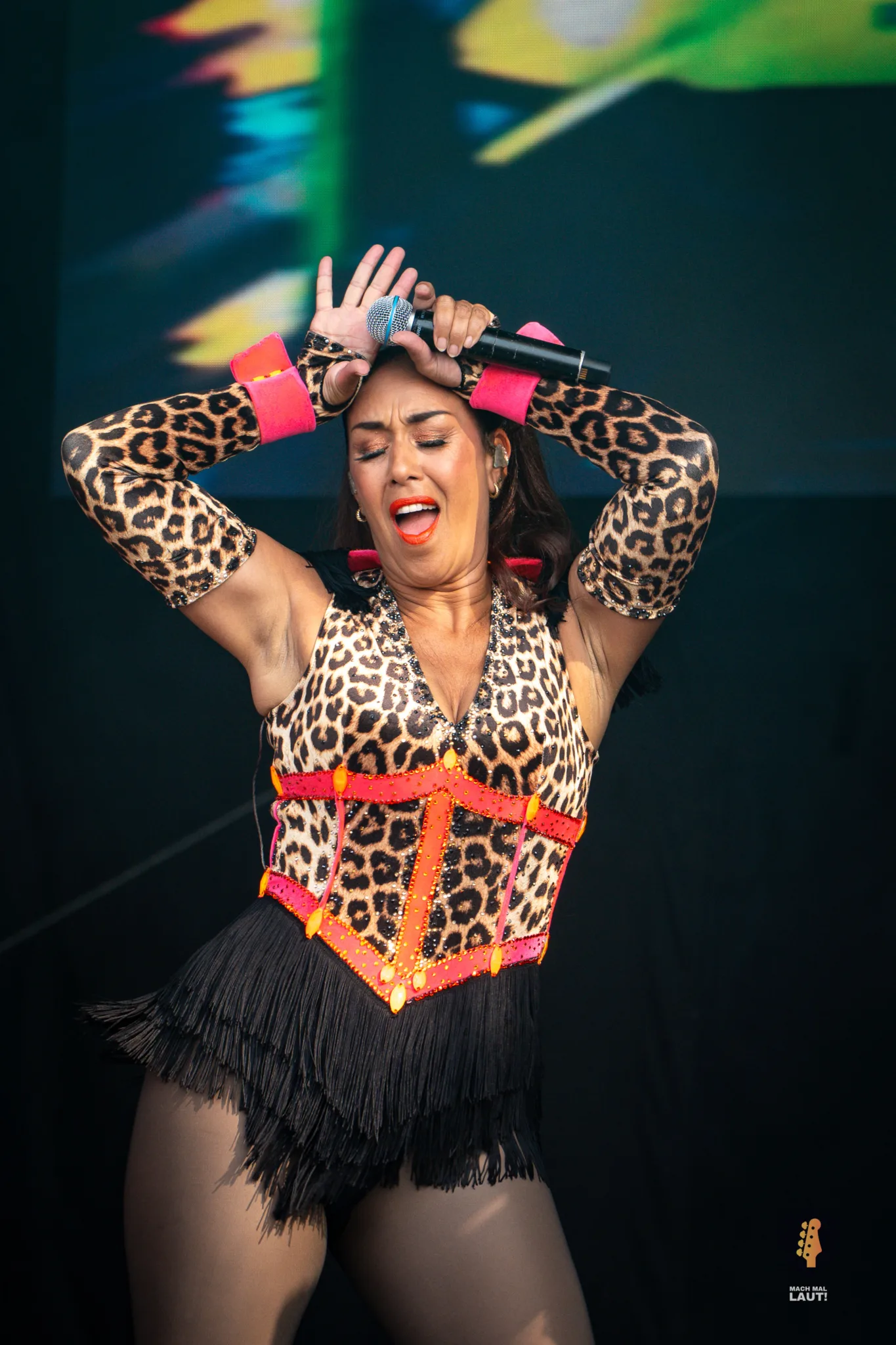 Vengaboys Reload Festival 2026 16