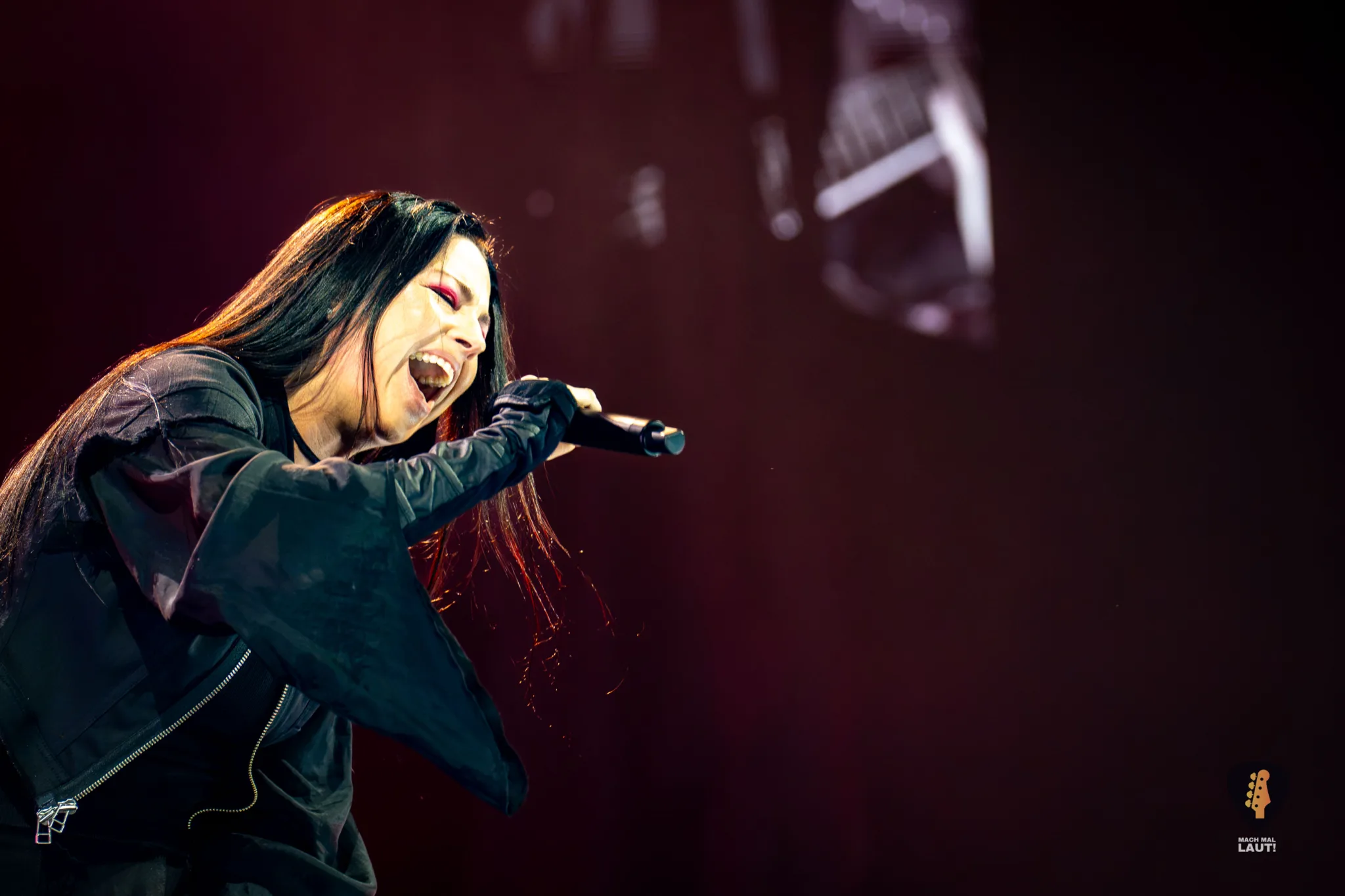 Evanescence Hamburg 2026 06