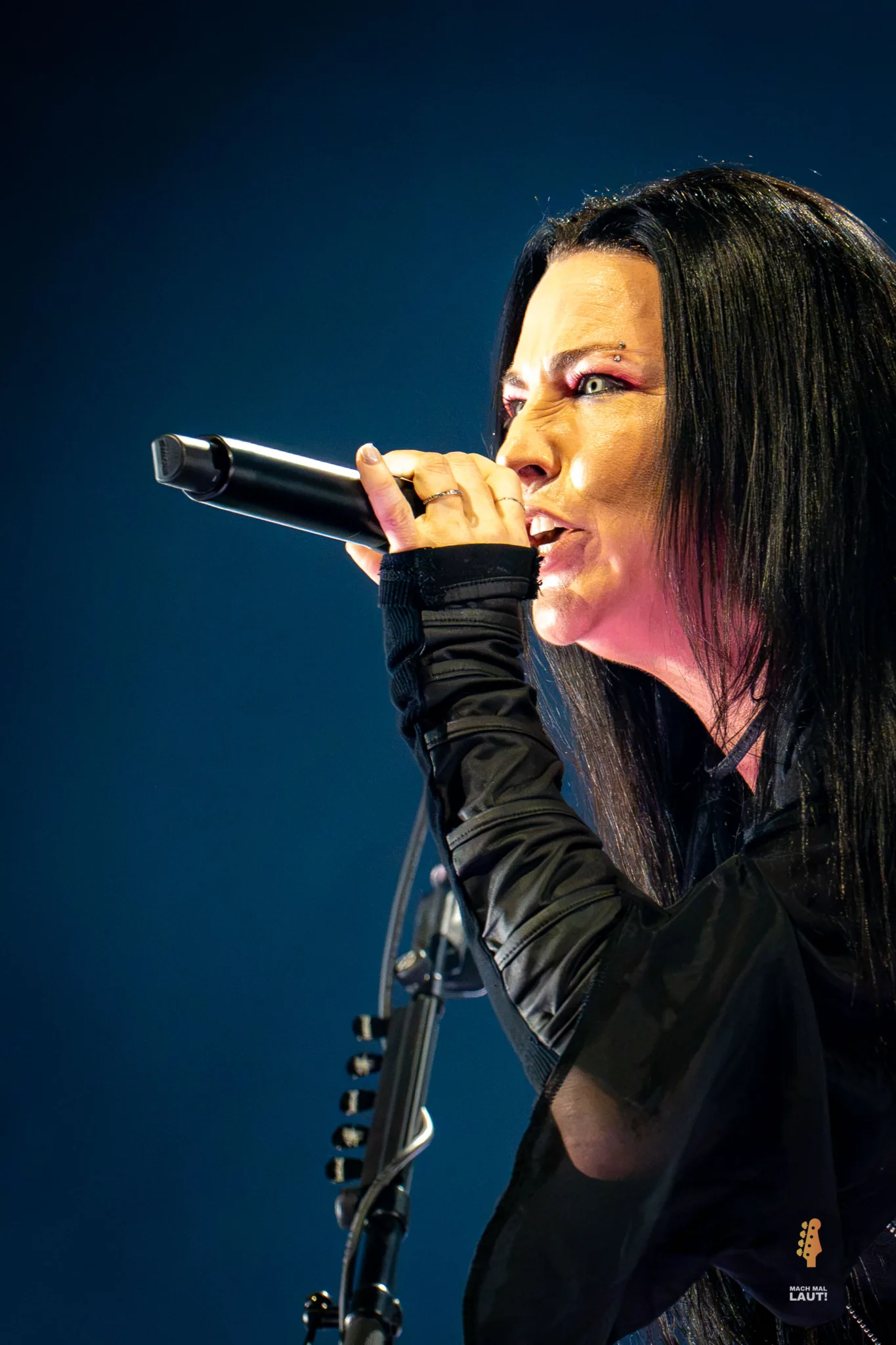Evanescence Hamburg 2026 10