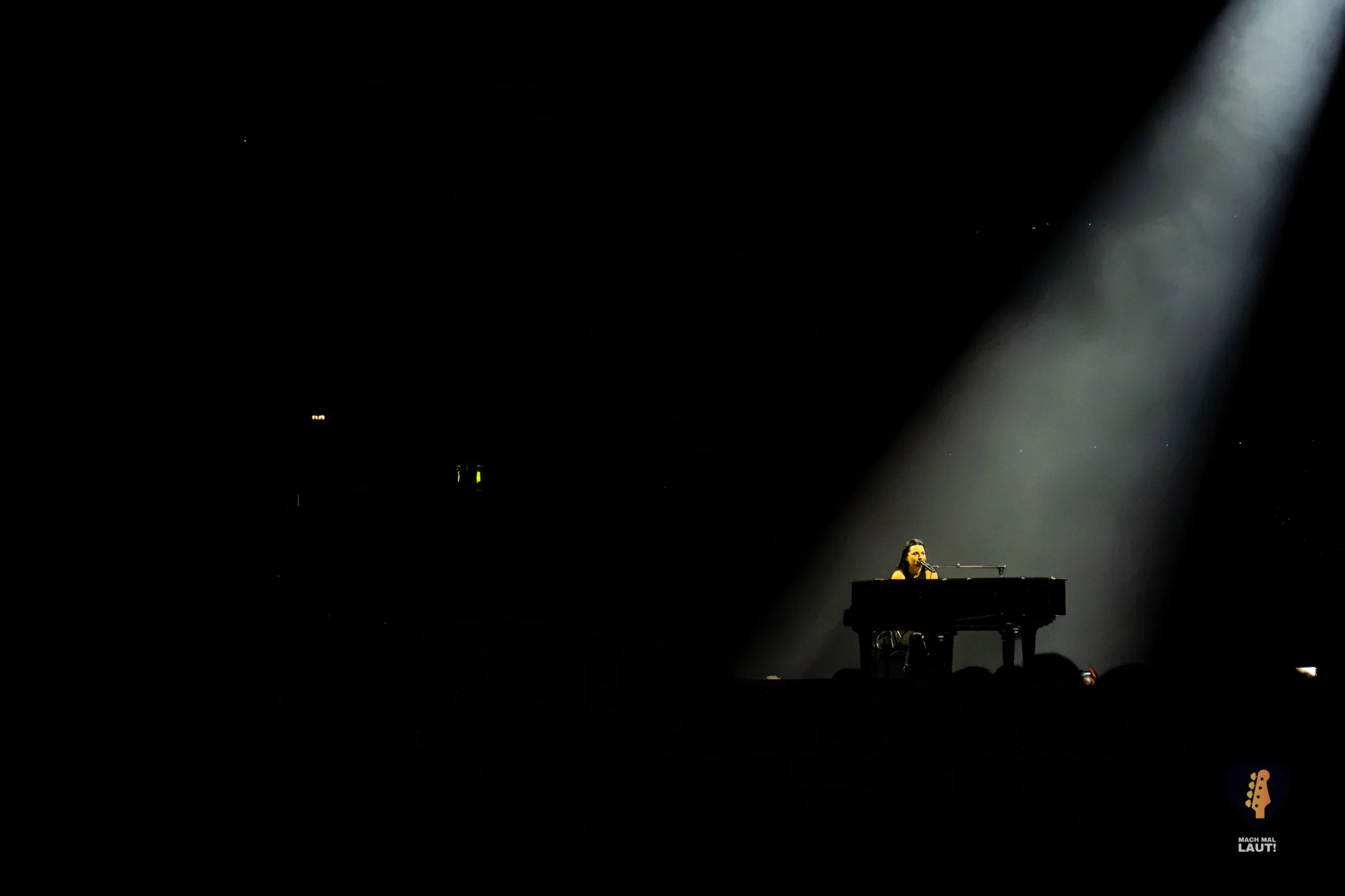 Evanescence Hamburg 2026 28