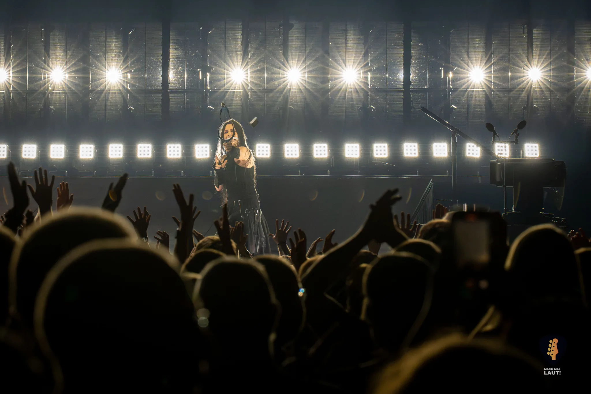 Evanescence Hamburg 2026 35