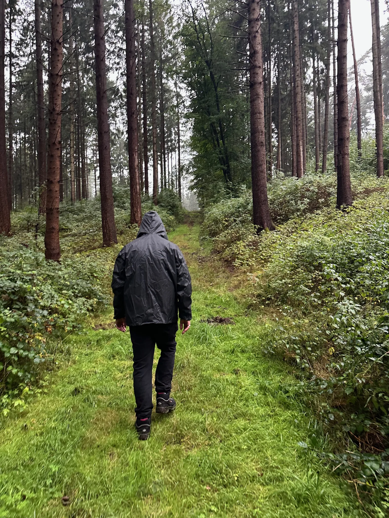 Jamel rockt den Förster 2026 Rückweg